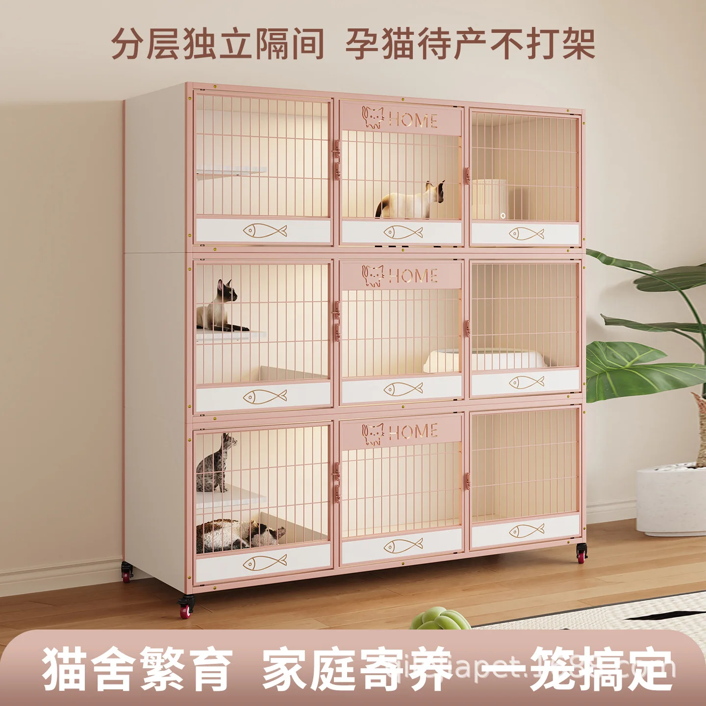 Push Up Board - Kedi evi, bağımsız bölme, doğum öncesi